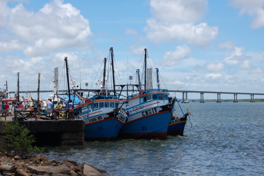 pesca