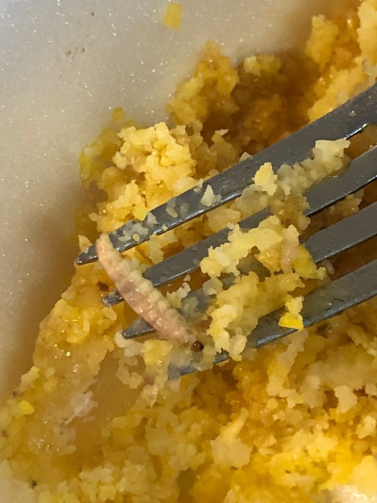 Alunos da UFS encontram larva em comida e denunciam ma alimentacao no Resun