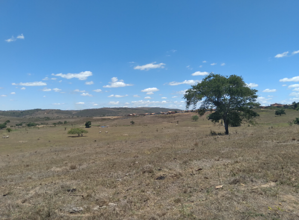 Ceu aberto e calor predominam neste fim de semana em Sergipee