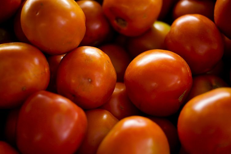 Preco do tomate sobe 4743 em Aracaju aponta Dieese