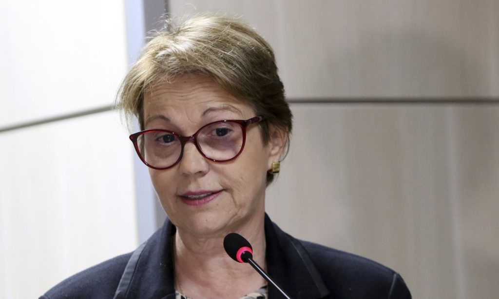 Agora a solicitacao da titular da Agricultura sera encaminhada para apreciacao da ONU