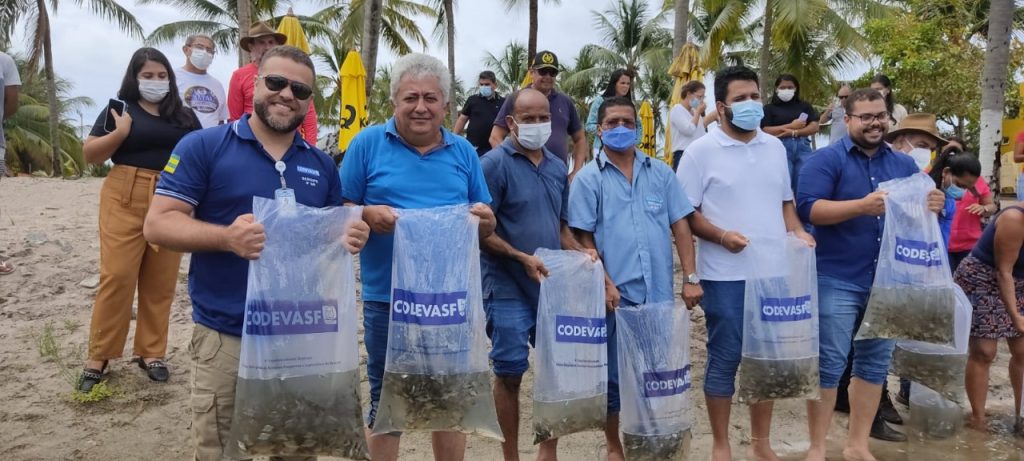 Codevasf lanca 50 mil alevinos na Lagoa dos Tambaquis em Estancia