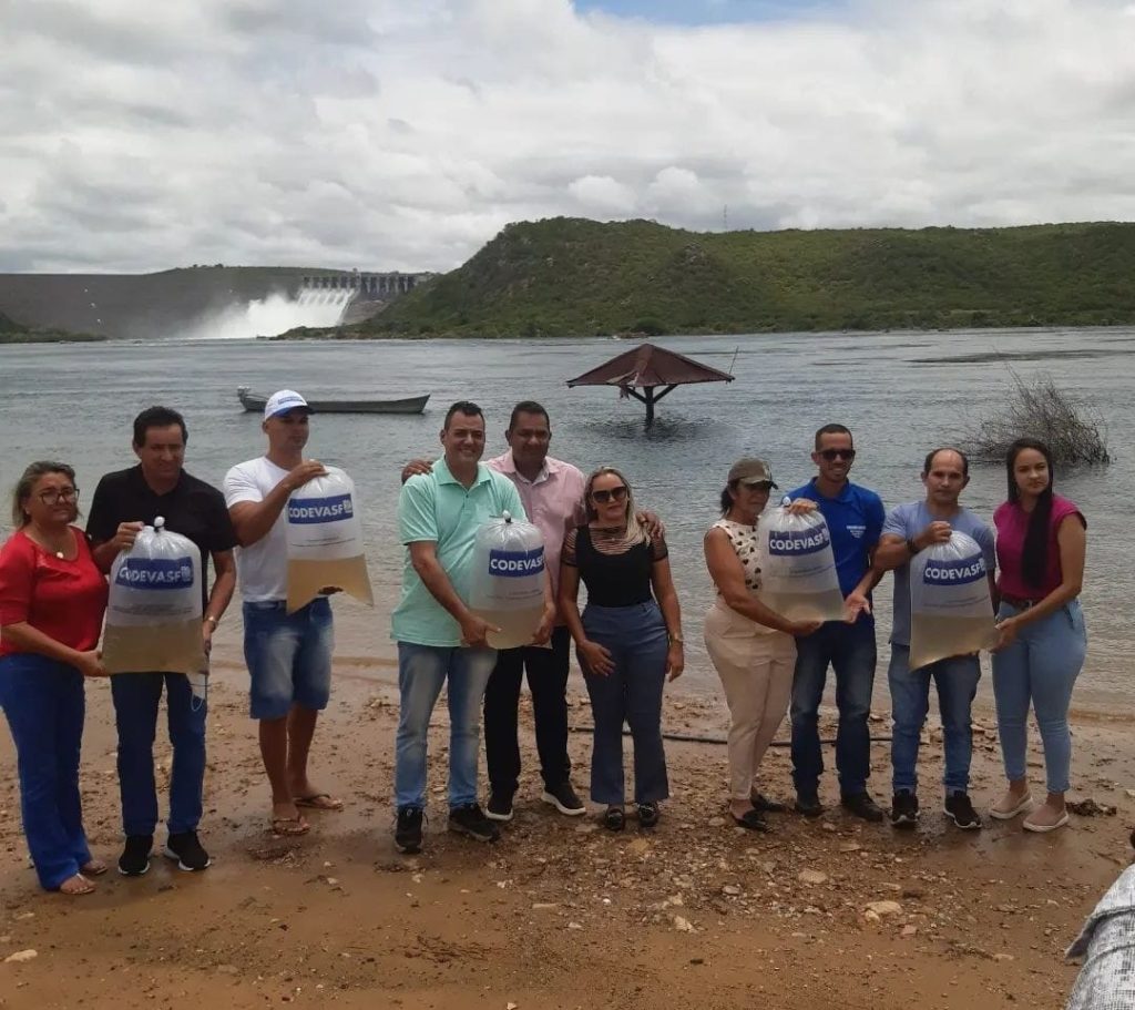 Codevasf realiza peixamento no Rio Sao Francisco em Caninde