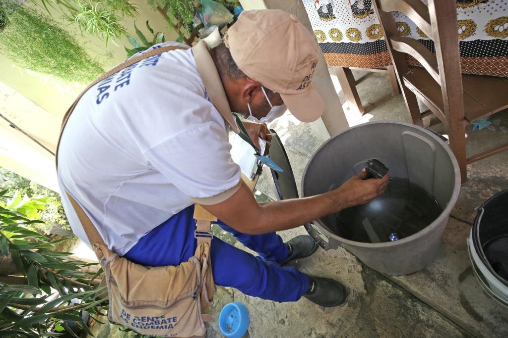 Seis bairros de Aracaju estao com alto risco de infestacao do mosquito Aedes Aegypti