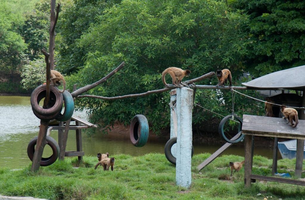 Zoologico de Aracaju estara fechado nesta terca 26 e quarta 27