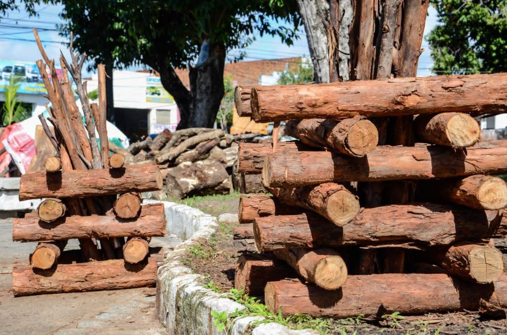 Comerciantes de fogueira e milho de Aracaju devem solicitar uso do espaco publico a Emsurb