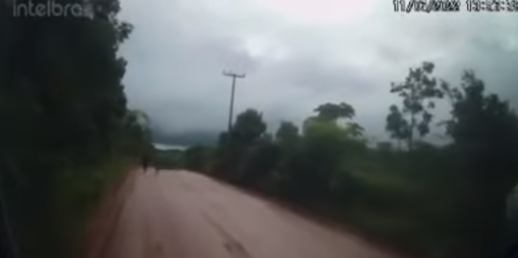 Motorista de onibus evita assalto fugir em marcha re no interior de Sergipe