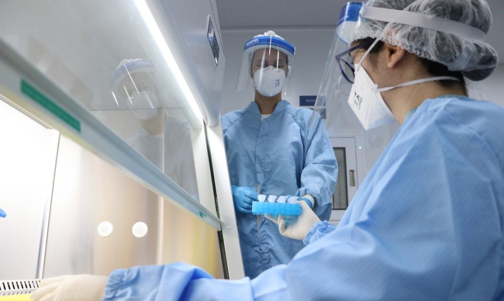 Brasil tem segundo caso de varíola dos macacos confirmado 1 macacos