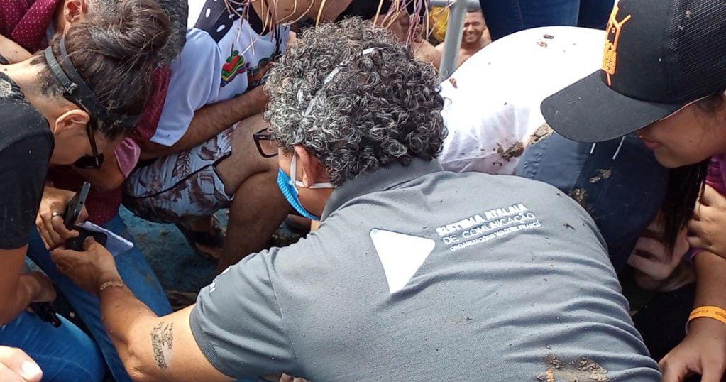 Autor de agressoes contra jornalistas na Festa do Mastro e indiciado por lesao corporal