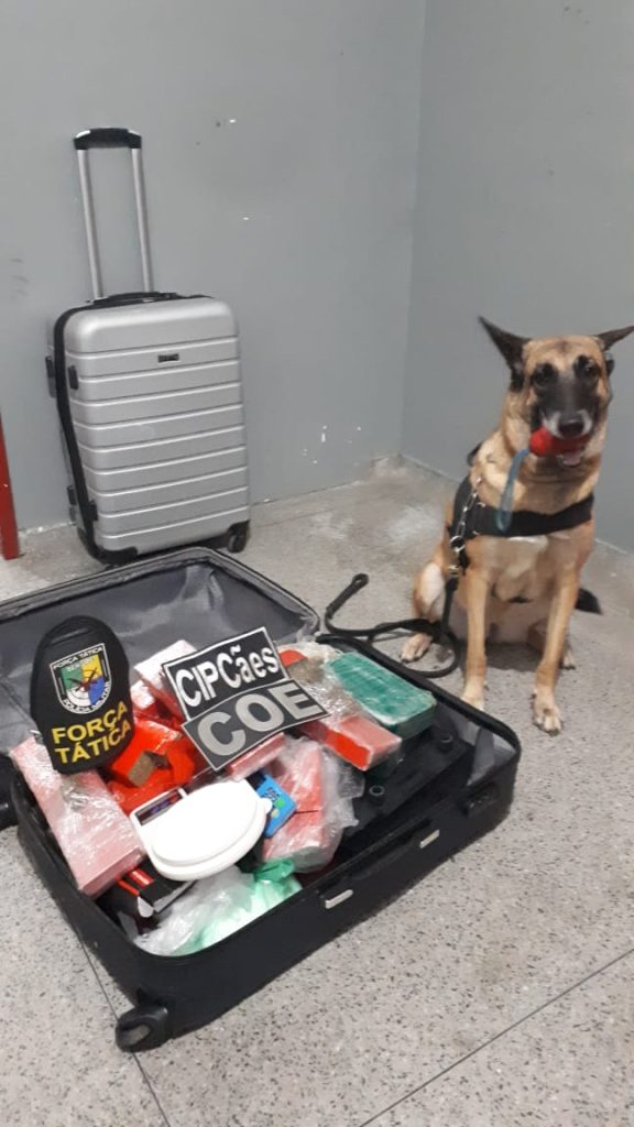 Mais de 12 kg de drogas sao apreendidos em Aracaju