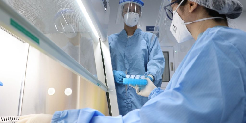Variola dos macacos Brasil e 7° pais do mundo com mais diagnosticos com 813 casos