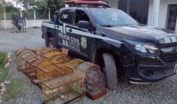 Animais silvestres mantidos em cativeiro sao apreendidos no Santa Maria