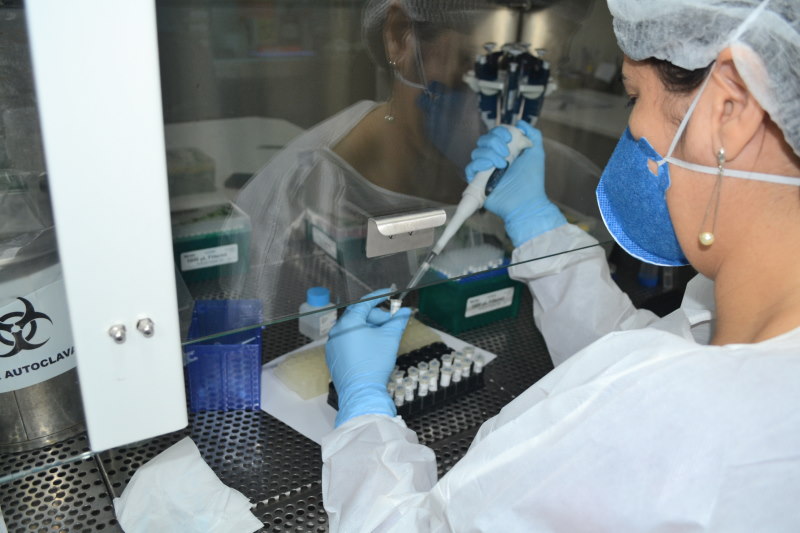 Lacen realiza mais de 42 mil testes para covid 19 em dois meses 1