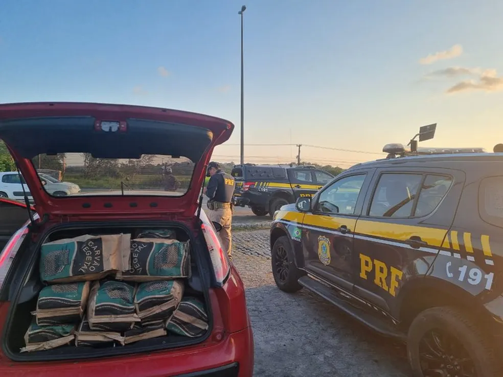Carga de carvao irregular e apreendida pela PRF na BR 235 em Socorro