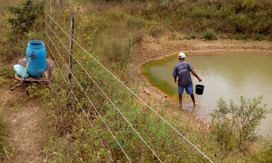 Cinco municipios sergipanos estao em situacao de emergencia devido a seca ou estiagem