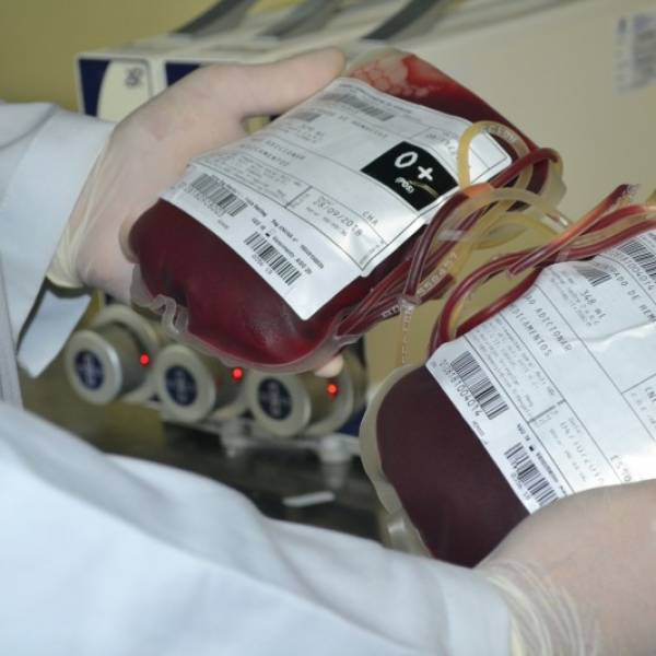 Com estoque critico Hemose pede doacoes de sangue saiba como doar
