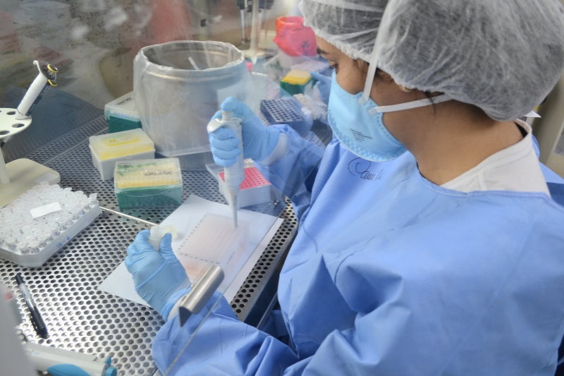 Lacen divulga estudo das principais variantes de covid 19 em Sergipe saiba quais 1