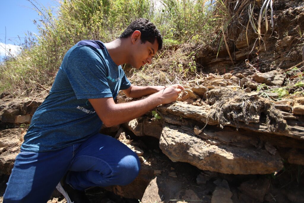 Sergipe entra no mapa mundial dos dinossauros apos UFS identificar fossil de 145 milhoes de anos