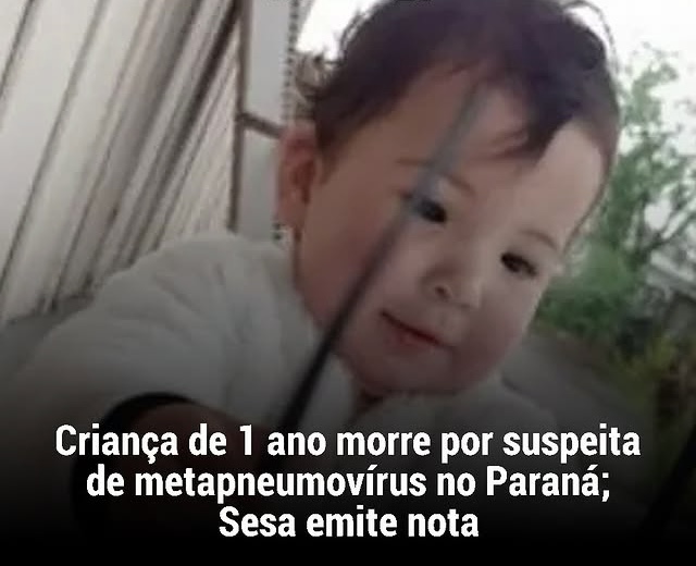 Metapneumovírus humano causa morte de criança de 1 ano no Paraná 1 6944BC7C 0D07 49D8 8B7D 317E7E9D764B