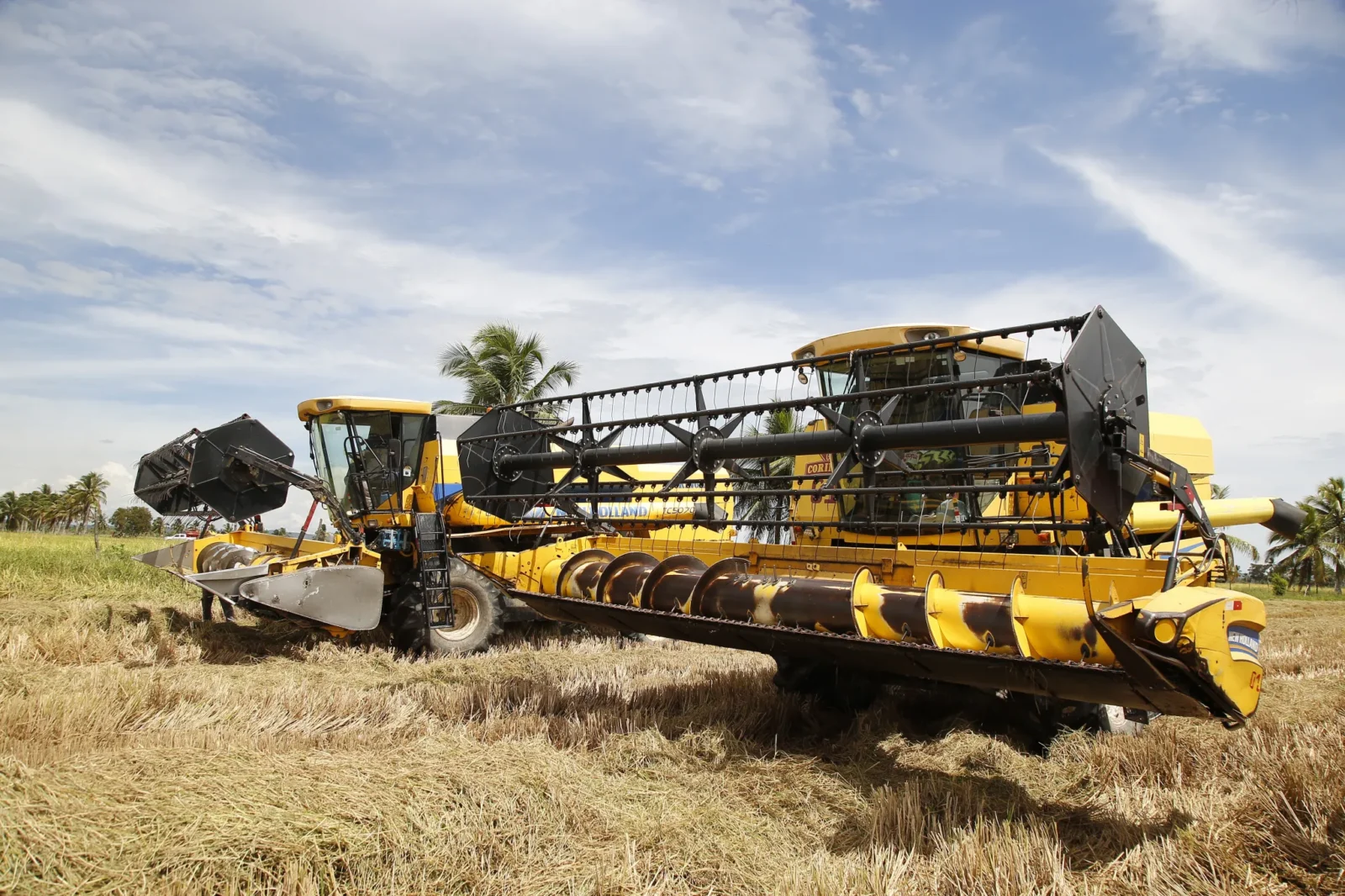 Safra de arroz registra recorde mais uma vez em Sergipe 1 20260323 222133