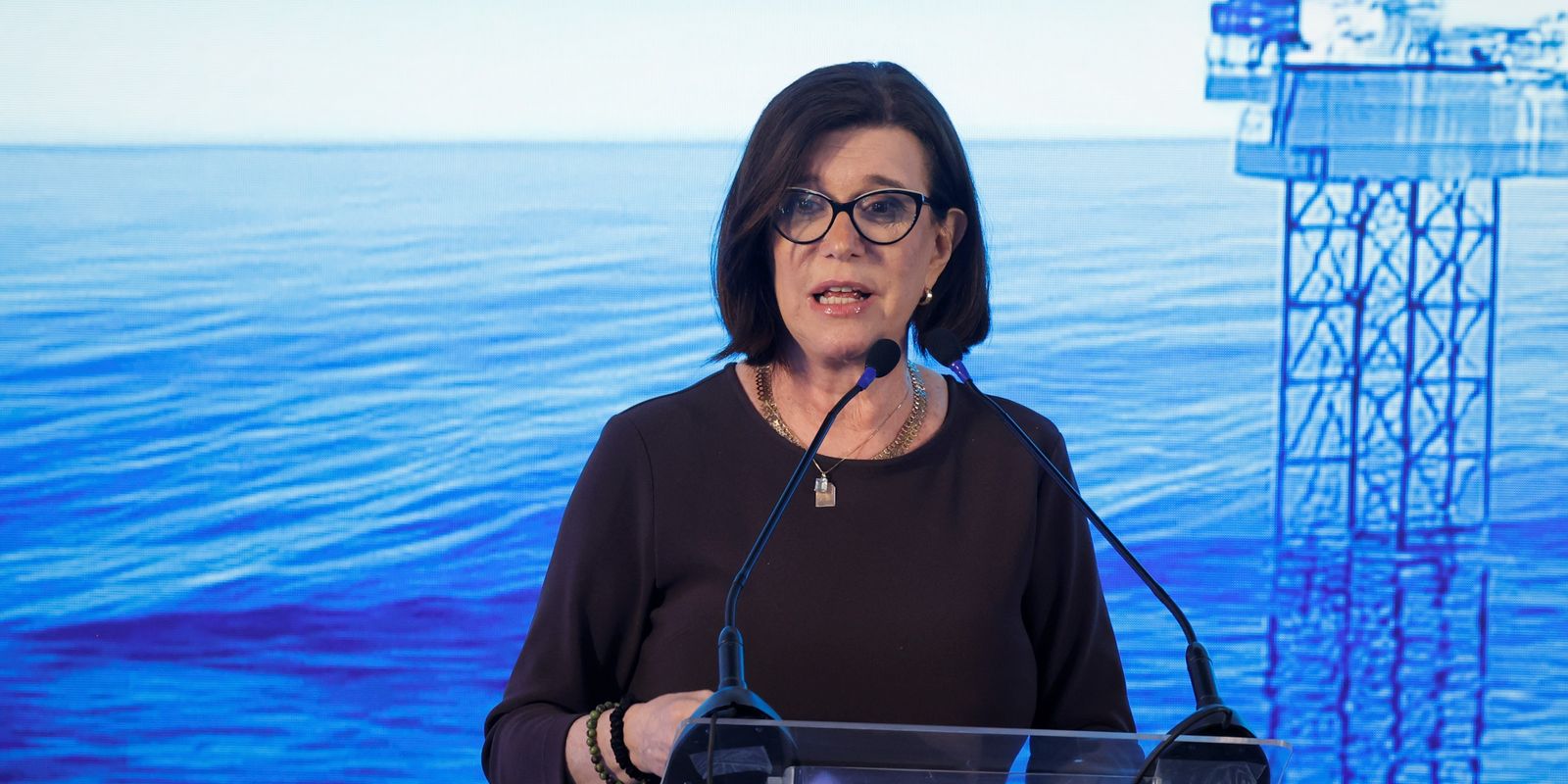 petrobras confirma r 60 bi em sergipe e promete dobrar ofert 20260529