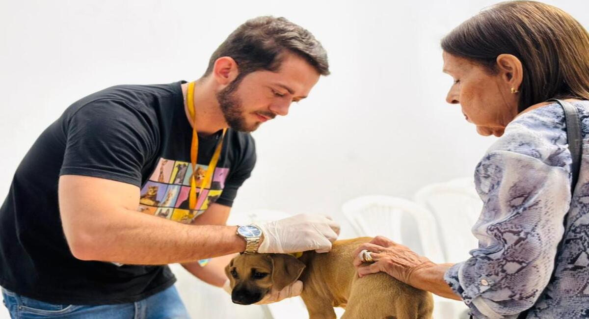 aju animal prefeitura realiza 256 atendimentos gratuitos a c 20260703