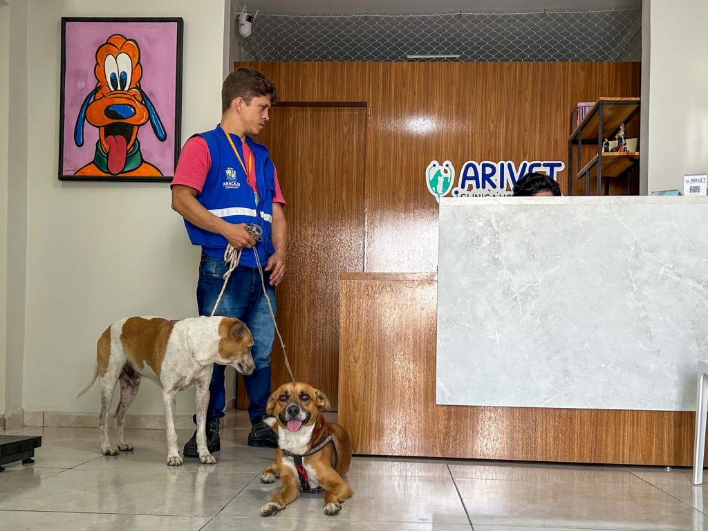 Aracaju castra cães de pessoas atendidas pelo Centro POP