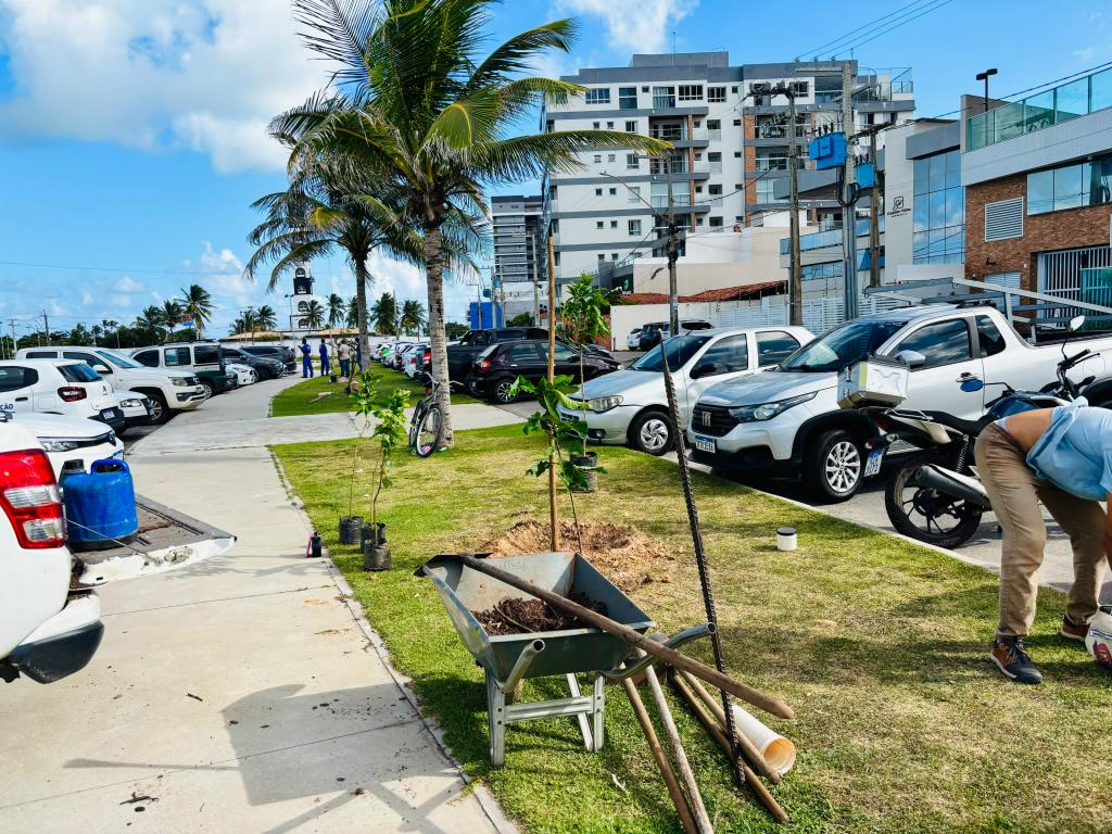 Coroa do Meio recebe novas mudas após pedido de moradores