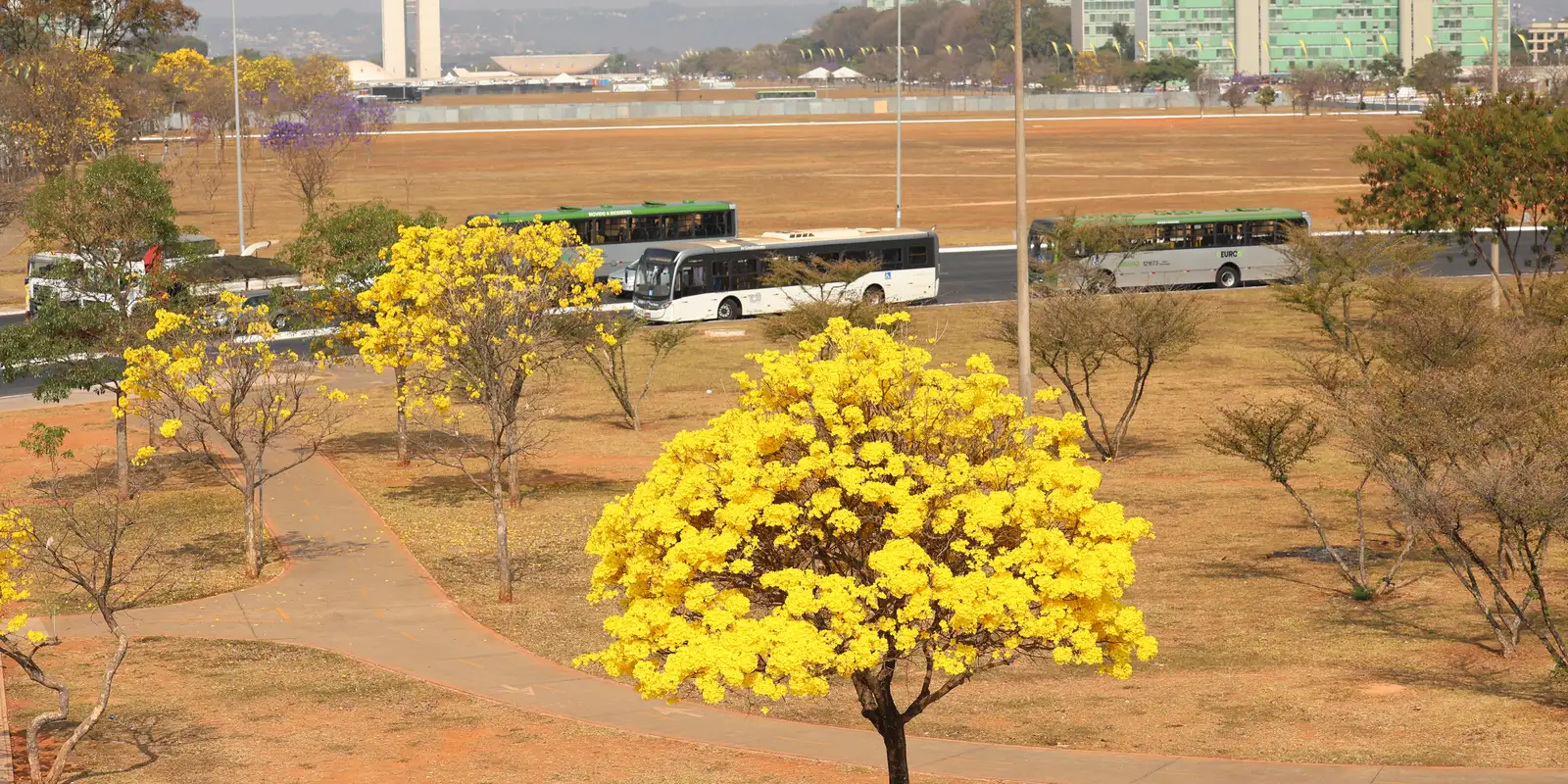 Inmet alerta Centro-Oeste: três avisos por tempestades e ar seco 1 Inmet alerta Centro-Oeste: três avisos por tempestades e ar seco