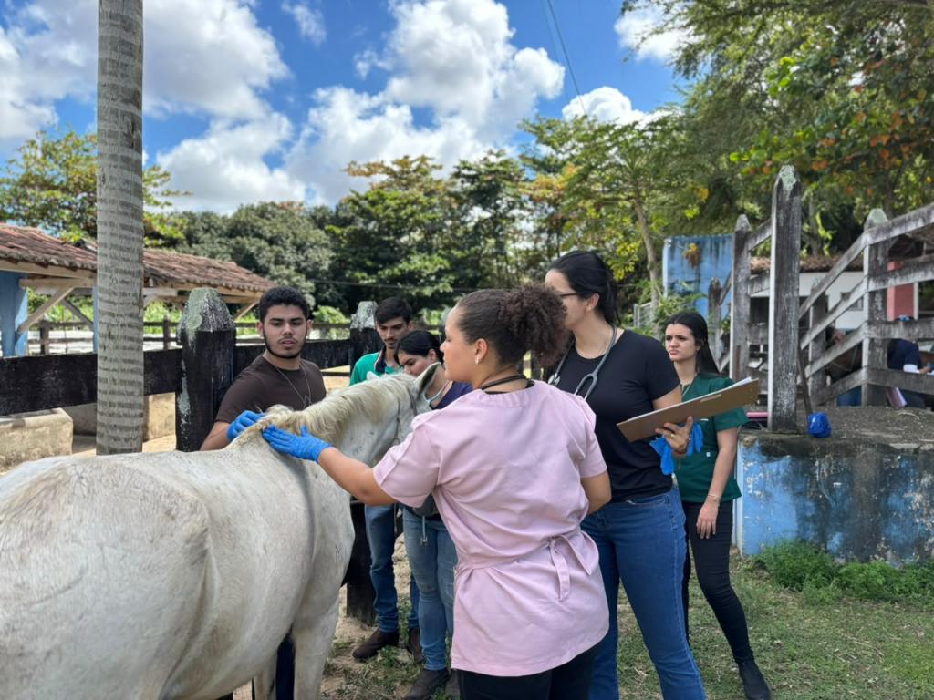 Parceria reforça cuidados com animais no Centro de Apreensões de Aracaju