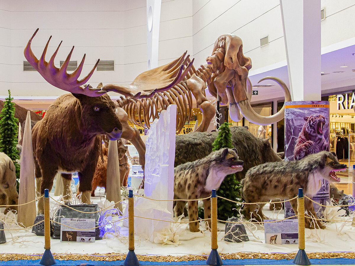 Exposicao Gigantes do Gelo no Shopping Jardins