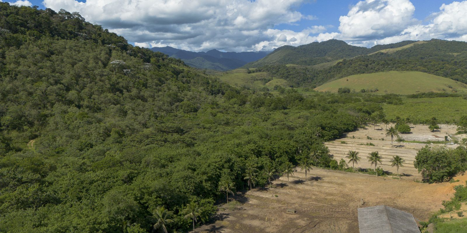 Agricultura avança 11 mi ha e devasta 9,7 mi ha da Mata Atlântica