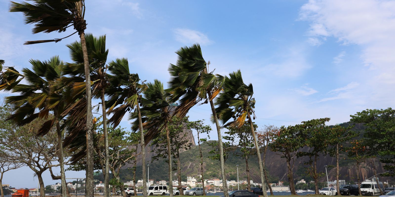 Defesa Civil alerta para ventos fortes no Rio com rajadas acima de 76 km/h