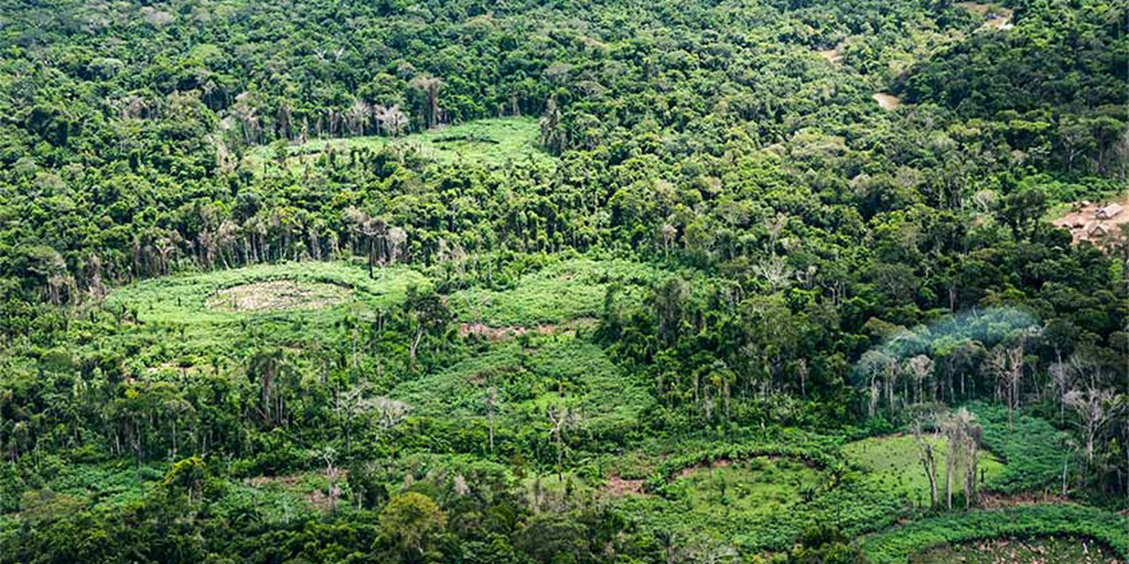 Especialistas cobram protagonismo indígena na restauração de terras amazônicas