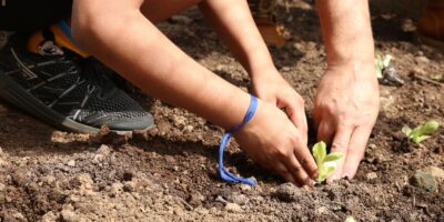 Organizações cobram compromisso dos candidatos de SP com agroecologia