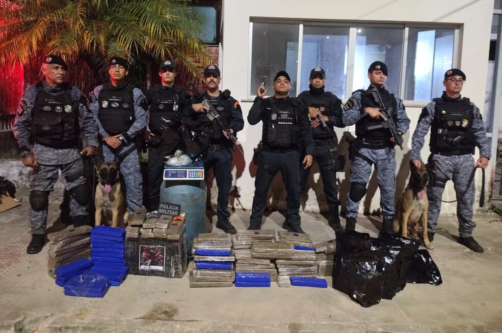 PM encontra cerca de 100 kg de maconha enterrada em Mussuca (Laranjeiras)