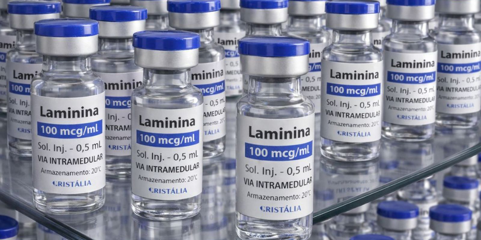 Polilaminina inicia fase 1 de testes no dia 24 para lesões na medula