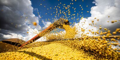 Safra recorde eleva produção agrícola a R$ 927,2 bi e supera 100 mi ha