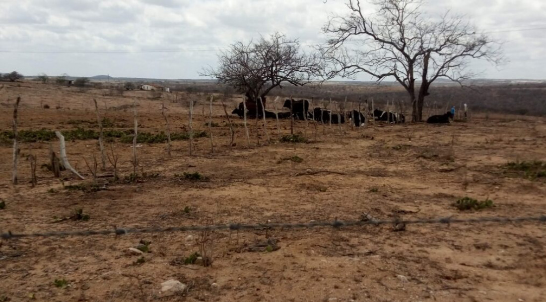 Seca avança em Sergipe e eleva risco de incêndios e perdas agrícolas