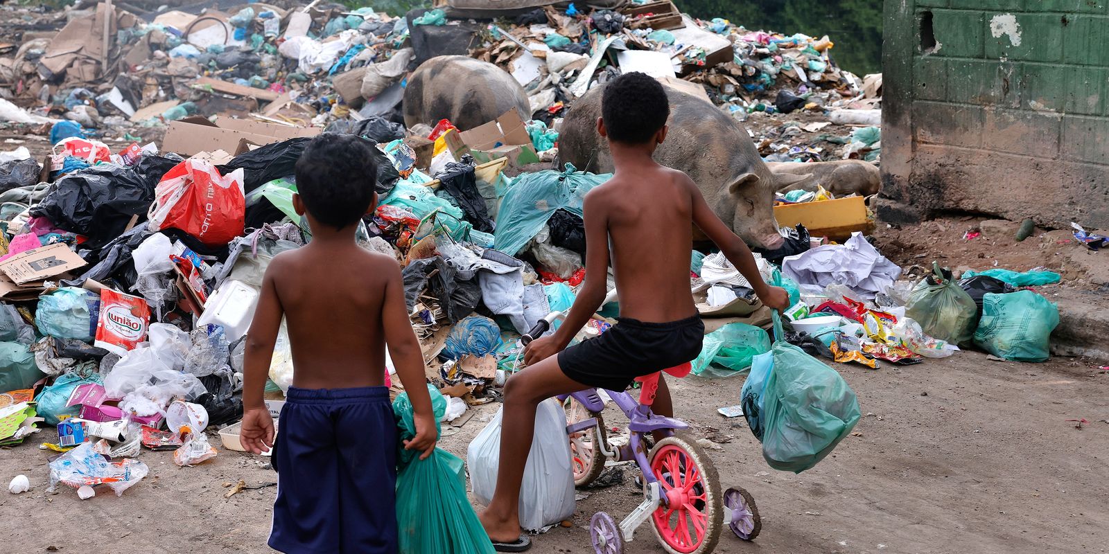 Senado aprova ECA Ambiental e garante prioridade do meio ambiente para crianças