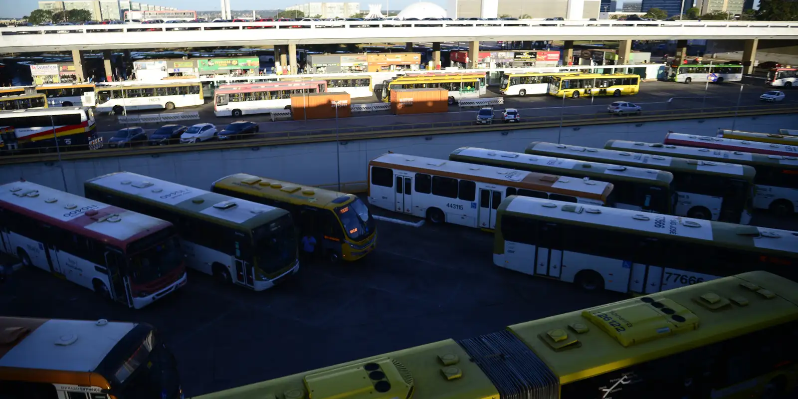 TSE pressiona TREs a assegurar transporte público gratuito no 1º turno