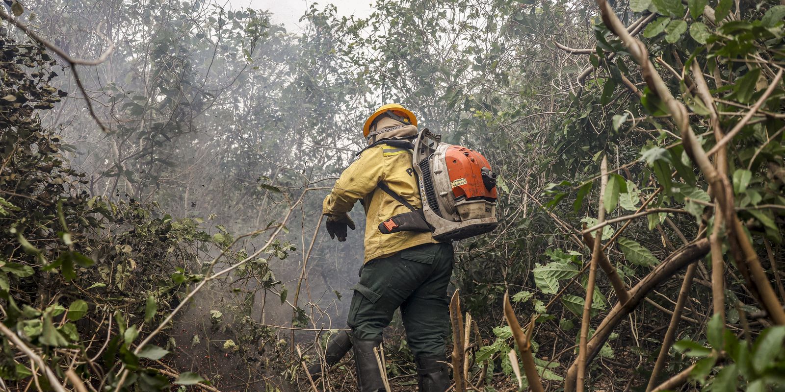 540 focos em 48 horas no Amazonas; governo aponta ação humana intencional