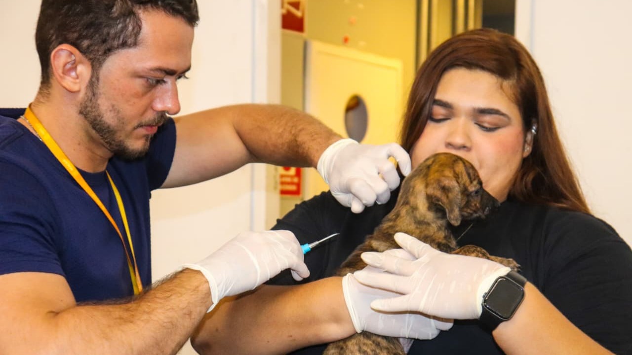 Aju Animal soma 26 mil atendimentos e mais de 11 mil castrações