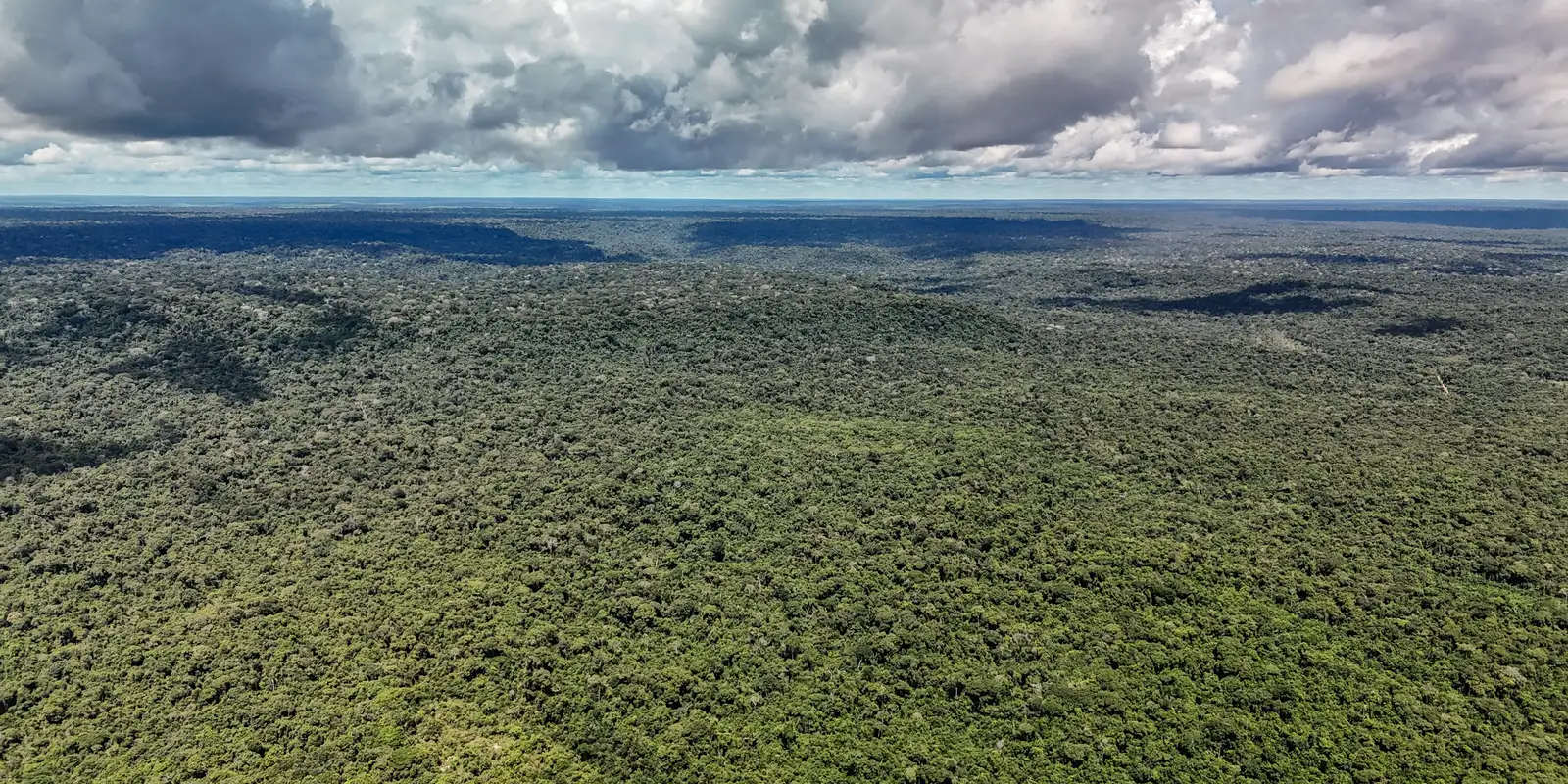 Amazônia registra menor desmatamento em 41 anos, diz MapBiomas
