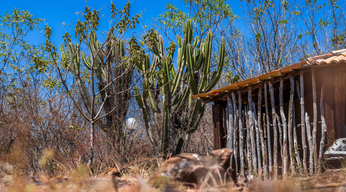 Boletim do El Niño aponta seca grave em quatro municípios do Alto Sertão