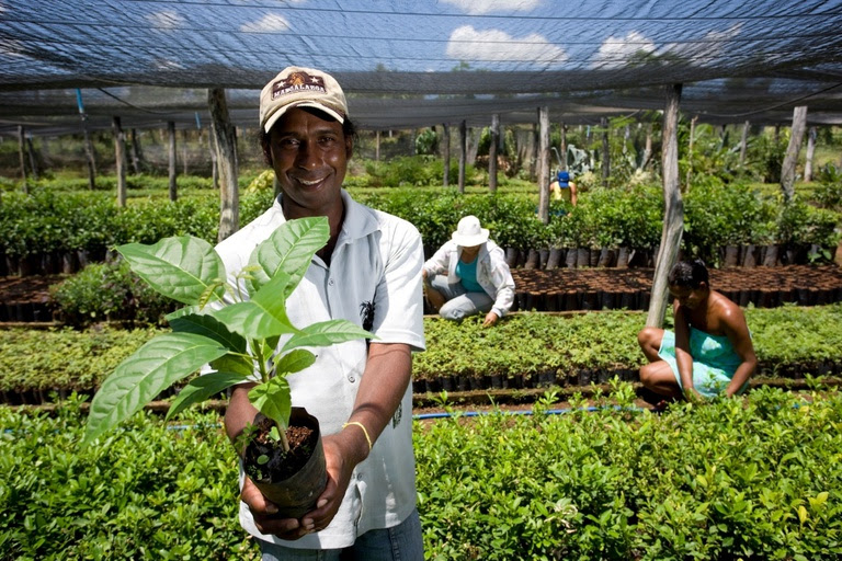 Contrata+Brasil gera R$182,8 mil em compras de MEIs e agricultores em Sergipe
