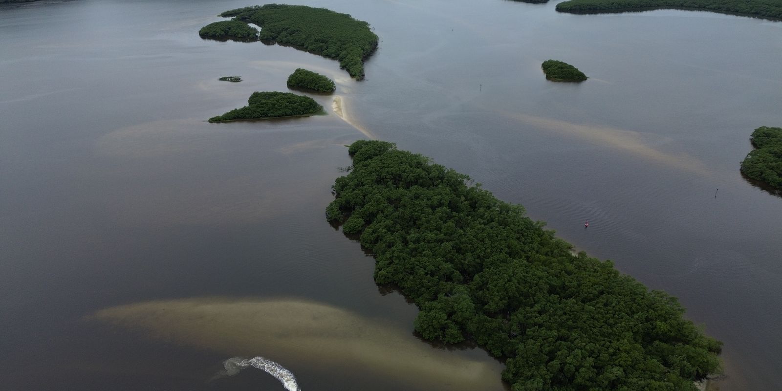 COP17 aponta falhas na execução do Plano Kunming-Montreal e exige ação 1 COP17 aponta falhas na execução do Plano Kunming-Montreal e exige ação
