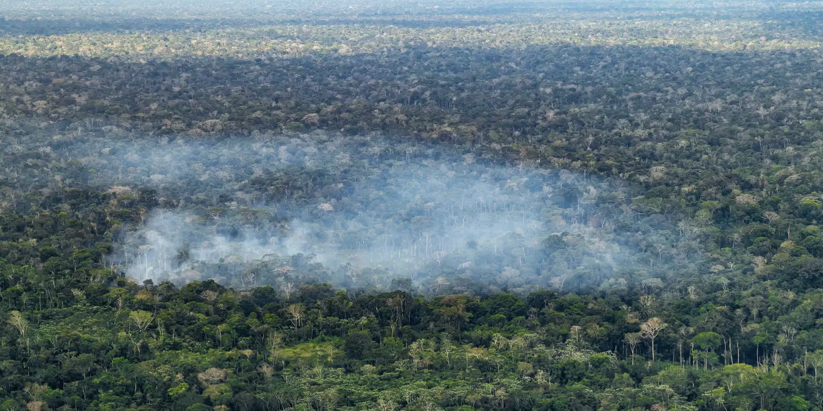 Desmatamento e queimadas impulsionam emissões na Amazônia, diz estudo