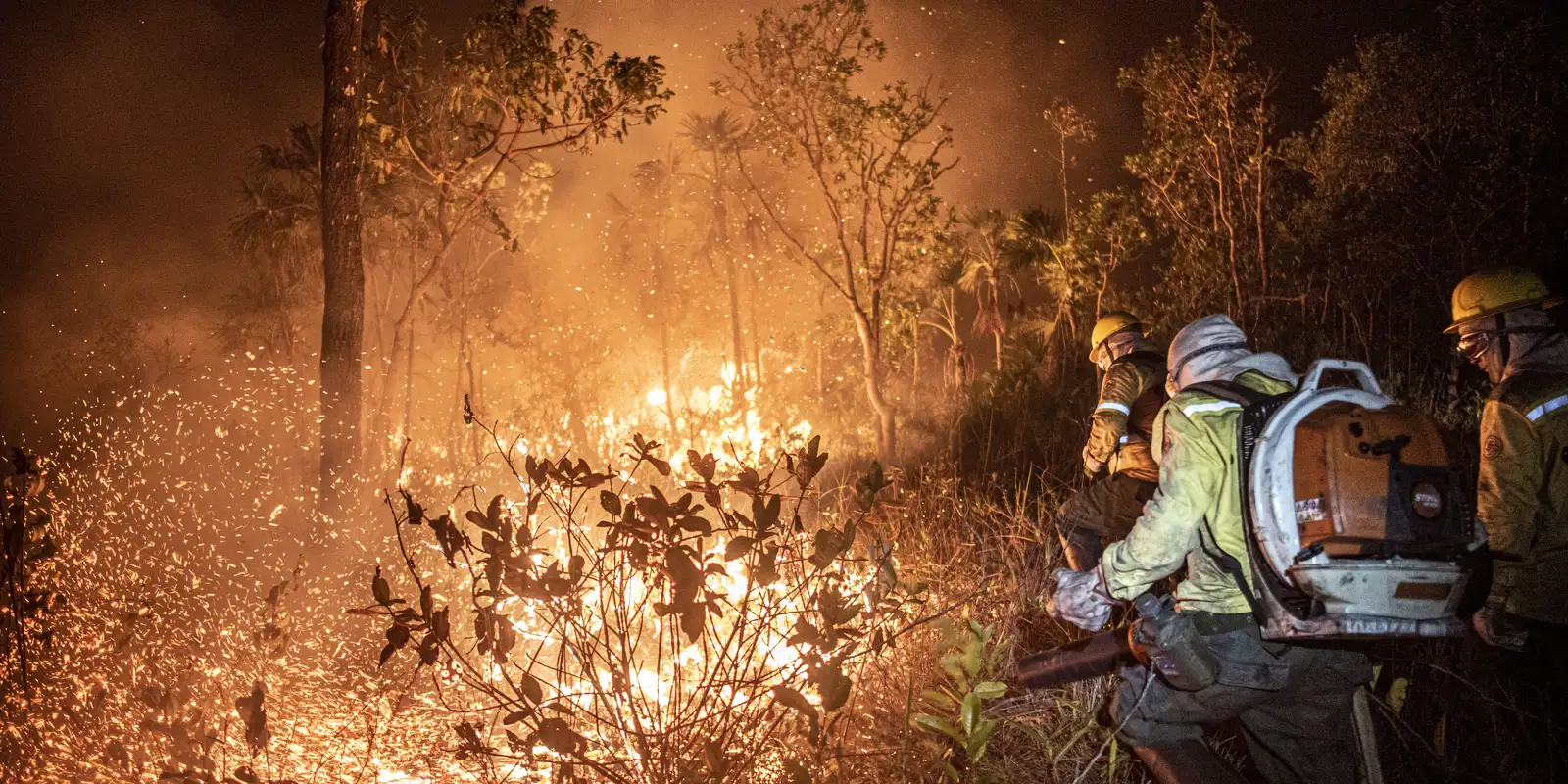 Ibama apaga 229 incêndios no Amazonas; 20 focos seguem ativos