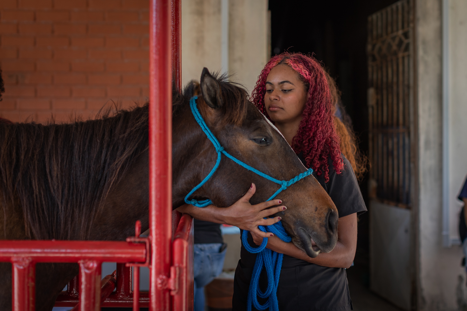 Atendimento reúne tutores dos animais e estudantes de Medicina Veterinária